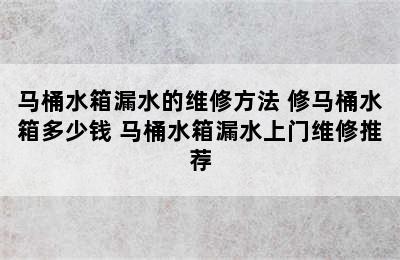 马桶水箱漏水的维修方法 修马桶水箱多少钱 马桶水箱漏水上门维修推荐